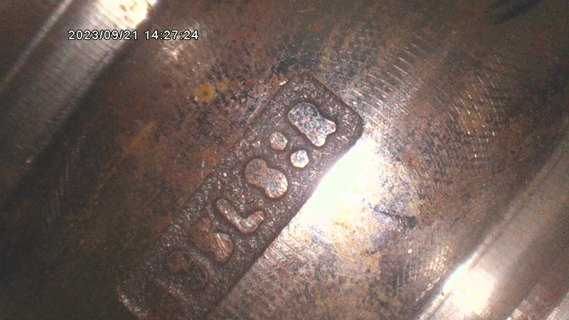 X600 HD — Image through the probe
